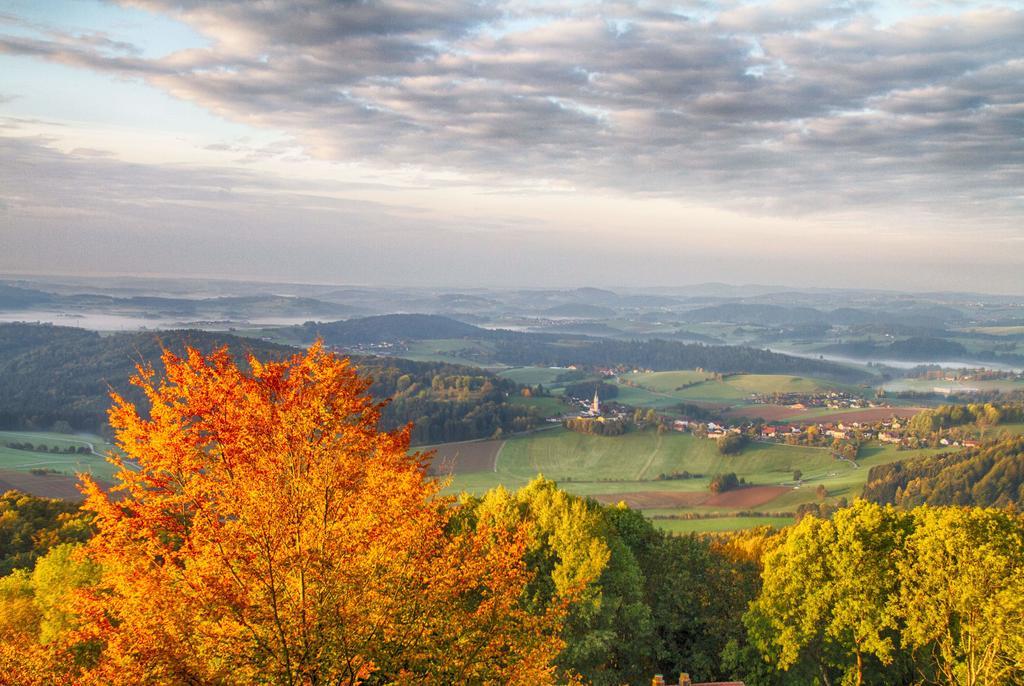 ferienwohnungen-bendler Freyung Zimmer foto